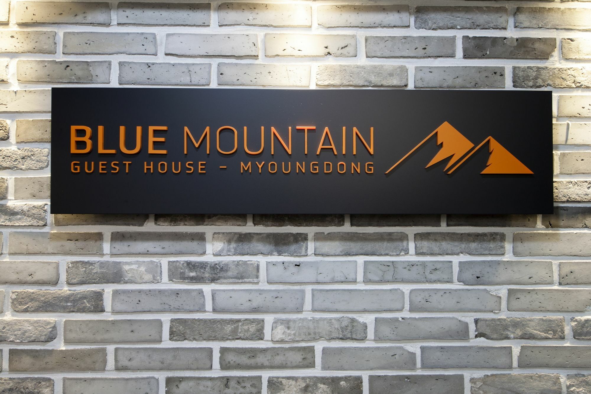 Blue Mountain Myeong-dong Rumah tetamu